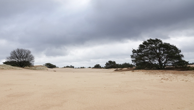 <i class='fa fa-user'></i>&nbsp;Ben Aalders&nbsp;|  Aekingerzand&nbsp; <i class='fa fa-eye'>&nbsp;68</i> &nbsp;<i class='fa fa-thumbs-up'>&nbsp;1</i> &nbsp; <i class='fa fa-comment-o'>&nbsp;2</i>