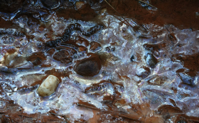 <i class='fa fa-user'></i>&nbsp;nelappelmelk&nbsp;|  Stilleven kwel&nbsp; <i class='fa fa-eye'>&nbsp;76</i> &nbsp; <i class='fa fa-comment-o'>&nbsp;1</i>