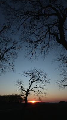 Nadat ik heel wat foto's had gemaakt bij het hunebed, bleef er nog wel wat tijd over voor wat andere foto's van de mooie zonsondergang.