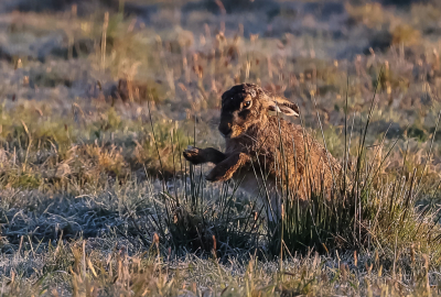 <i class='fa fa-user'></i>&nbsp;David&nbsp;|  Haas&nbsp; <i class='fa fa-eye'>&nbsp;65</i> &nbsp;<i class='fa fa-thumbs-up'>&nbsp;1</i> &nbsp; <i class='fa fa-comment-o'>&nbsp;1</i>