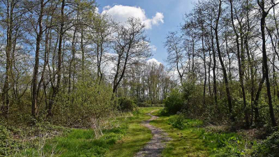 <i class='fa fa-user'></i>&nbsp;kooyammers&nbsp;|  Doorkijkje in Polderbos&nbsp; <i class='fa fa-eye'>&nbsp;66</i> &nbsp;<i class='fa fa-thumbs-up'>&nbsp;2</i> &nbsp; <i class='fa fa-comment-o'>&nbsp;2</i>