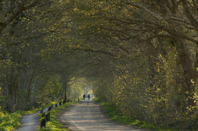 <i class='fa fa-user'></i>&nbsp;Hendrik van Kampen&nbsp;|  It Heechs�n, Lange Geestlaan&nbsp; <i class='fa fa-eye'>&nbsp;112</i> &nbsp;<i class='fa fa-thumbs-up'>&nbsp;7</i> &nbsp; <i class='fa fa-comment-o'>&nbsp;8</i>