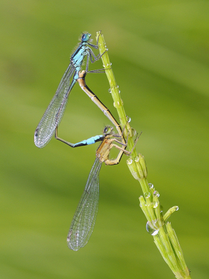 <i class='fa fa-user'></i>&nbsp;Mignon-Creative&nbsp;|  Lantaarntje&nbsp; <i class='fa fa-eye'>&nbsp;66</i> &nbsp;<i class='fa fa-thumbs-up'>&nbsp;2</i> &nbsp; <i class='fa fa-comment-o'>&nbsp;4</i>