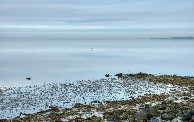 <i class='fa fa-user'></i>&nbsp;Jurgen Maassen&nbsp;|  Ochtendsfeer bij de Oesterdam&nbsp; <i class='fa fa-eye'>&nbsp;76</i> &nbsp;<i class='fa fa-thumbs-up'>&nbsp;1</i> &nbsp; <i class='fa fa-comment-o'>&nbsp;4</i>