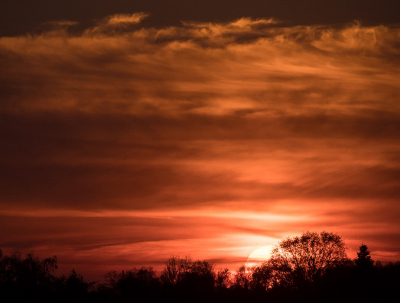 <i class='fa fa-user'></i>&nbsp;Truus Aletta Maan&nbsp;|  Zonsondergang&nbsp; <i class='fa fa-eye'>&nbsp;64</i> &nbsp; <i class='fa fa-comment-o'>&nbsp;3</i>