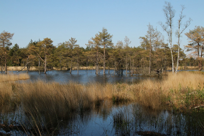 <i class='fa fa-user'></i>&nbsp;frbeuming&nbsp;|  Landschap&nbsp; <i class='fa fa-eye'>&nbsp;53</i> &nbsp;<i class='fa fa-thumbs-up'>&nbsp;1</i> &nbsp; <i class='fa fa-comment-o'>&nbsp;5</i>