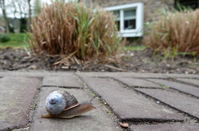 <i class='fa fa-user'></i>&nbsp;nelappelmelk&nbsp;|  Segrijnslak&nbsp; <i class='fa fa-eye'>&nbsp;86</i> &nbsp; <i class='fa fa-comment-o'>&nbsp;6</i>