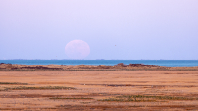 <i class='fa fa-user'></i>&nbsp;Arjen Drost&nbsp;|  Maanopkomst&nbsp; <i class='fa fa-eye'>&nbsp;81</i> &nbsp; <i class='fa fa-comment-o'>&nbsp;7</i>