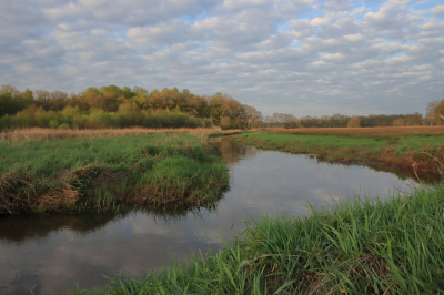 <i class='fa fa-user'></i>&nbsp;Tineke Strijbosch&nbsp;|  Landschap in de vroege ochtend&nbsp; <i class='fa fa-eye'>&nbsp;43</i> &nbsp;<i class='fa fa-thumbs-up'>&nbsp;4</i> &nbsp; <i class='fa fa-comment-o'>&nbsp;6</i>