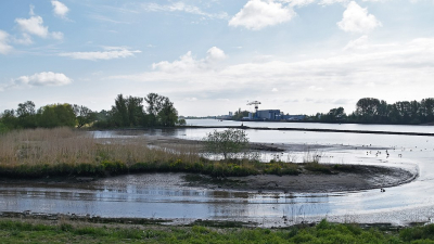 <i class='fa fa-user'></i>&nbsp;kooyammers&nbsp;|  De Hem&nbsp; <i class='fa fa-eye'>&nbsp;61</i> &nbsp;<i class='fa fa-thumbs-up'>&nbsp;1</i> &nbsp; <i class='fa fa-comment-o'>&nbsp;1</i>