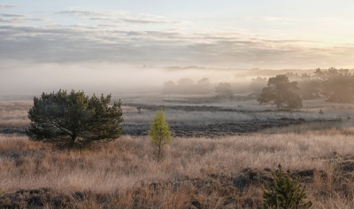 <i class='fa fa-user'></i>&nbsp;nelappelmelk&nbsp;|  Mistige Koningsdag&nbsp; <i class='fa fa-eye'>&nbsp;111</i> &nbsp;<i class='fa fa-thumbs-up'>&nbsp;5</i> &nbsp; <i class='fa fa-comment-o'>&nbsp;12</i>
