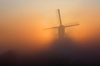 <i class='fa fa-user'></i>&nbsp;Pieter  LJ&nbsp;|  Broekmolen in de mist&nbsp; <i class='fa fa-eye'>&nbsp;138</i> &nbsp;<i class='fa fa-thumbs-up'>&nbsp;13</i> &nbsp; <i class='fa fa-comment-o'>&nbsp;7</i>