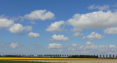 <i class='fa fa-user'></i>&nbsp;sieb&nbsp;|  Polder&nbsp; <i class='fa fa-eye'>&nbsp;80</i> &nbsp; <i class='fa fa-comment-o'>&nbsp;6</i>