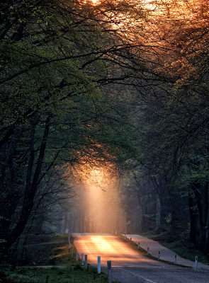 <i class='fa fa-user'></i>&nbsp;nelappelmelk&nbsp;|  Koningsdag oranje&nbsp; <i class='fa fa-eye'>&nbsp;114</i> &nbsp;<i class='fa fa-thumbs-up'>&nbsp;5</i> &nbsp; <i class='fa fa-comment-o'>&nbsp;4</i>