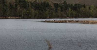 <i class='fa fa-user'></i>&nbsp;Ben Aalders&nbsp;|  Lente&nbsp; <i class='fa fa-eye'>&nbsp;76</i> &nbsp;<i class='fa fa-thumbs-up'>&nbsp;1</i> &nbsp; <i class='fa fa-comment-o'>&nbsp;1</i>