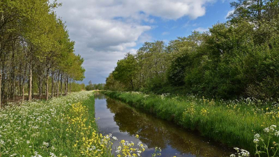 <i class='fa fa-user'></i>&nbsp;kooyammers&nbsp;|  Voorjaar !&nbsp; <i class='fa fa-eye'>&nbsp;87</i> &nbsp;<i class='fa fa-thumbs-up'>&nbsp;5</i> &nbsp; <i class='fa fa-comment-o'>&nbsp;8</i>