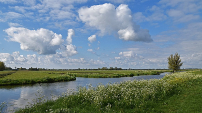 <i class='fa fa-user'></i>&nbsp;kooyammers&nbsp;|  Lente in de Nespolder&nbsp; <i class='fa fa-eye'>&nbsp;62</i> &nbsp;<i class='fa fa-thumbs-up'>&nbsp;3</i> &nbsp; <i class='fa fa-comment-o'>&nbsp;2</i>