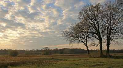 <i class='fa fa-user'></i>&nbsp;Tineke Strijbosch&nbsp;|  Ochtendlandschap&nbsp; <i class='fa fa-eye'>&nbsp;79</i> &nbsp;<i class='fa fa-thumbs-up'>&nbsp;3</i> &nbsp; <i class='fa fa-comment-o'>&nbsp;4</i>