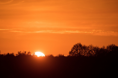 <i class='fa fa-user'></i>&nbsp;Truus Aletta Maan&nbsp;|  Zonsondergang&nbsp; <i class='fa fa-eye'>&nbsp;54</i> &nbsp; <i class='fa fa-comment-o'>&nbsp;4</i>