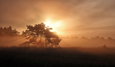 <i class='fa fa-user'></i>&nbsp;nelappelmelk&nbsp;|  Mooie morgen&nbsp; <i class='fa fa-eye'>&nbsp;112</i> &nbsp;<i class='fa fa-thumbs-up'>&nbsp;14</i> &nbsp; <i class='fa fa-comment-o'>&nbsp;14</i>