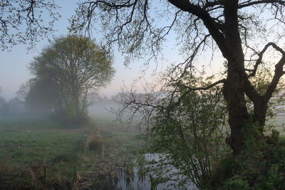 <i class='fa fa-user'></i>&nbsp;Hendrik van Kampen&nbsp;|  It Heechs�n, houtwallenlandschap&nbsp; <i class='fa fa-eye'>&nbsp;76</i> &nbsp;<i class='fa fa-thumbs-up'>&nbsp;3</i> &nbsp; <i class='fa fa-comment-o'>&nbsp;6</i>