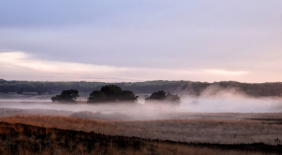 <i class='fa fa-user'></i>&nbsp;nelappelmelk&nbsp;|  Opstijgende mistflarden&nbsp; <i class='fa fa-eye'>&nbsp;78</i> &nbsp; <i class='fa fa-comment-o'>&nbsp;6</i>