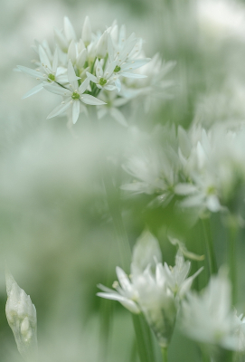 <i class='fa fa-user'></i>&nbsp;Tim Oord&nbsp;|  Daslook&nbsp; <i class='fa fa-eye'>&nbsp;49</i> &nbsp; <i class='fa fa-comment-o'>&nbsp;0</i>