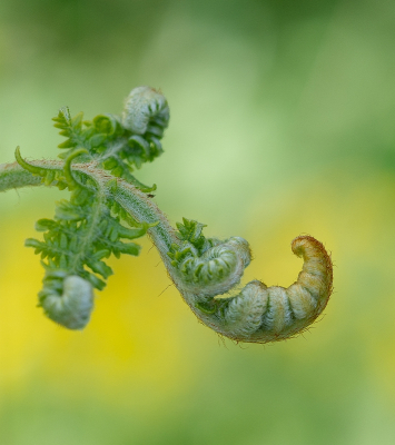 <i class='fa fa-user'></i>&nbsp;Tim Oord&nbsp;|  Adelaarsvaren&nbsp; <i class='fa fa-eye'>&nbsp;58</i> &nbsp;<i class='fa fa-thumbs-up'>&nbsp;5</i> &nbsp; <i class='fa fa-comment-o'>&nbsp;3</i>