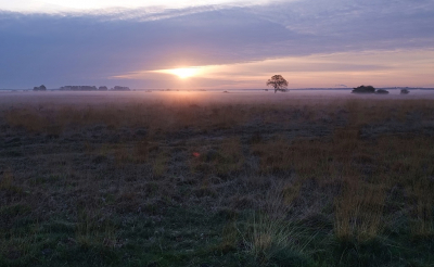 <i class='fa fa-user'></i>&nbsp;Ben Aalders&nbsp;|  Mistig heideveld&nbsp; <i class='fa fa-eye'>&nbsp;83</i> &nbsp;<i class='fa fa-thumbs-up'>&nbsp;5</i> &nbsp; <i class='fa fa-comment-o'>&nbsp;5</i>