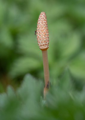 <i class='fa fa-user'></i>&nbsp;Tim Oord&nbsp;|  Heermoes&nbsp; <i class='fa fa-eye'>&nbsp;52</i> &nbsp;<i class='fa fa-thumbs-up'>&nbsp;1</i> &nbsp; <i class='fa fa-comment-o'>&nbsp;3</i>