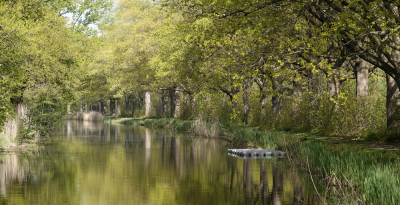 <i class='fa fa-user'></i>&nbsp;nelappelmelk&nbsp;|  Lentegroen&nbsp; <i class='fa fa-eye'>&nbsp;110</i> &nbsp; <i class='fa fa-comment-o'>&nbsp;3</i>