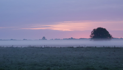 <i class='fa fa-user'></i>&nbsp;Ben Aalders&nbsp;|  Grondmist&nbsp; <i class='fa fa-eye'>&nbsp;57</i> &nbsp;<i class='fa fa-thumbs-up'>&nbsp;4</i> &nbsp; <i class='fa fa-comment-o'>&nbsp;5</i>