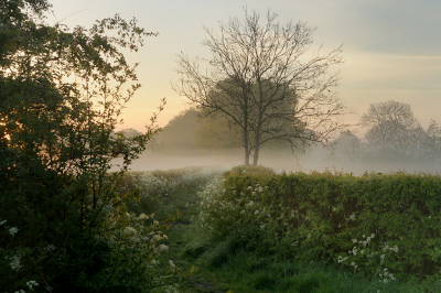 <i class='fa fa-user'></i>&nbsp;Hendrik van Kampen&nbsp;|  Jistrum, Oude Harstewei&nbsp; <i class='fa fa-eye'>&nbsp;82</i> &nbsp;<i class='fa fa-thumbs-up'>&nbsp;6</i> &nbsp; <i class='fa fa-comment-o'>&nbsp;6</i>