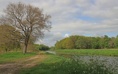 <i class='fa fa-user'></i>&nbsp;Tineke Strijbosch&nbsp;|  Heerlijke Lentedag&nbsp; <i class='fa fa-eye'>&nbsp;61</i> &nbsp;<i class='fa fa-thumbs-up'>&nbsp;3</i> &nbsp; <i class='fa fa-comment-o'>&nbsp;6</i>