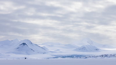 <i class='fa fa-user'></i>&nbsp;Arjen Drost&nbsp;|  Poollandschap&nbsp; <i class='fa fa-eye'>&nbsp;84</i> &nbsp;<i class='fa fa-thumbs-up'>&nbsp;4</i> &nbsp; <i class='fa fa-comment-o'>&nbsp;8</i>