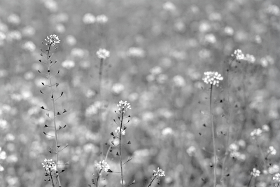 <i class='fa fa-user'></i>&nbsp;Nel R&nbsp;|  Herderstasje&nbsp; <i class='fa fa-eye'>&nbsp;77</i> &nbsp;<i class='fa fa-thumbs-up'>&nbsp;1</i> &nbsp; <i class='fa fa-comment-o'>&nbsp;3</i>