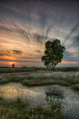 <i class='fa fa-user'></i>&nbsp;Tom&nbsp;|  Engbertsdijksvenen&nbsp; <i class='fa fa-eye'>&nbsp;114</i> &nbsp;<i class='fa fa-thumbs-up'>&nbsp;8</i> &nbsp; <i class='fa fa-comment-o'>&nbsp;10</i>