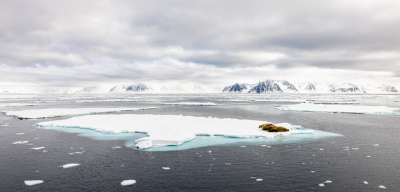 <i class='fa fa-user'></i>&nbsp;Arjen Drost&nbsp;|  Walrus&nbsp; <i class='fa fa-eye'>&nbsp;137</i> &nbsp;<i class='fa fa-thumbs-up'>&nbsp;14</i> &nbsp; <i class='fa fa-comment-o'>&nbsp;8</i>