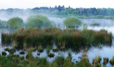 <i class='fa fa-user'></i>&nbsp;Ben Aalders&nbsp;|  Ven&nbsp; <i class='fa fa-eye'>&nbsp;69</i> &nbsp;<i class='fa fa-thumbs-up'>&nbsp;4</i> &nbsp; <i class='fa fa-comment-o'>&nbsp;8</i>