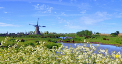 <i class='fa fa-user'></i>&nbsp;B.M.Schouten-Ruis&nbsp;|  Het Doove Gat&nbsp; <i class='fa fa-eye'>&nbsp;110</i> &nbsp;<i class='fa fa-thumbs-up'>&nbsp;8</i> &nbsp; <i class='fa fa-comment-o'>&nbsp;8</i>