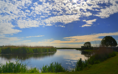 <i class='fa fa-user'></i>&nbsp;B.M.Schouten-Ruis&nbsp;|  Het Doove Gat&nbsp; <i class='fa fa-eye'>&nbsp;77</i> &nbsp;<i class='fa fa-thumbs-up'>&nbsp;1</i> &nbsp; <i class='fa fa-comment-o'>&nbsp;2</i>