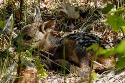 <i class='fa fa-user'></i>&nbsp;Jacolienl&nbsp;|  Ree&nbsp; <i class='fa fa-eye'>&nbsp;148</i> &nbsp; <i class='fa fa-comment-o'>&nbsp;3</i>