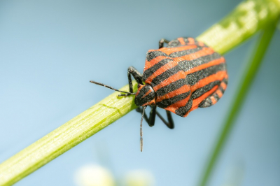 <i class='fa fa-user'></i>&nbsp;harrie69&nbsp;|  Pyjamaschildwants&nbsp; <i class='fa fa-eye'>&nbsp;51</i> &nbsp; <i class='fa fa-comment-o'>&nbsp;2</i>