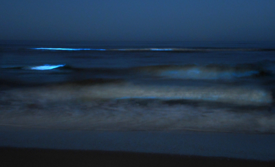 <i class='fa fa-user'></i>&nbsp;Eric Gibcus&nbsp;|  Zeevonk&nbsp; <i class='fa fa-eye'>&nbsp;108</i> &nbsp;<i class='fa fa-thumbs-up'>&nbsp;8</i> &nbsp; <i class='fa fa-comment-o'>&nbsp;9</i>