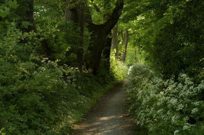 <i class='fa fa-user'></i>&nbsp;Hendrik van Kampen&nbsp;|  Nij Swaddeloantsje&nbsp; <i class='fa fa-eye'>&nbsp;69</i> &nbsp;<i class='fa fa-thumbs-up'>&nbsp;1</i> &nbsp; <i class='fa fa-comment-o'>&nbsp;2</i>