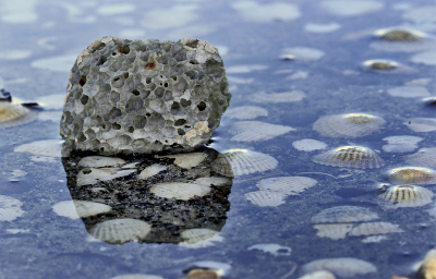 <i class='fa fa-user'></i>&nbsp;Nel R&nbsp;|  Puimsteen&nbsp; <i class='fa fa-eye'>&nbsp;71</i> &nbsp;<i class='fa fa-thumbs-up'>&nbsp;2</i> &nbsp; <i class='fa fa-comment-o'>&nbsp;1</i>