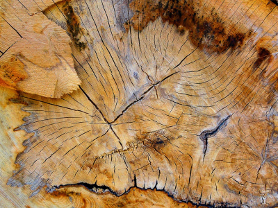 <i class='fa fa-user'></i>&nbsp;Bert Veerman&nbsp;|  Natuurlijk Abstrakt&nbsp; <i class='fa fa-eye'>&nbsp;72</i> &nbsp;<i class='fa fa-thumbs-up'>&nbsp;1</i> &nbsp; <i class='fa fa-comment-o'>&nbsp;5</i>