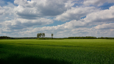 <i class='fa fa-user'></i>&nbsp;Bert Veerman&nbsp;|  Oude Rolbaan Deelen&nbsp; <i class='fa fa-eye'>&nbsp;67</i> &nbsp;<i class='fa fa-thumbs-up'>&nbsp;2</i> &nbsp; <i class='fa fa-comment-o'>&nbsp;3</i>