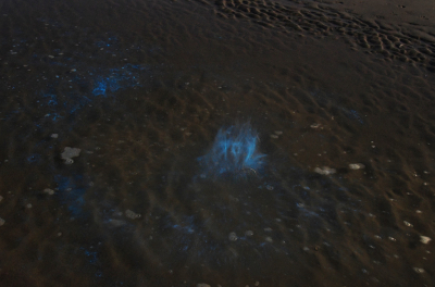 <i class='fa fa-user'></i>&nbsp;Eric Gibcus&nbsp;|  Zeevonk&nbsp; <i class='fa fa-eye'>&nbsp;88</i> &nbsp; <i class='fa fa-comment-o'>&nbsp;1</i>