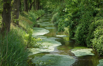 <i class='fa fa-user'></i>&nbsp;nelappelmelk&nbsp;|  De Grift&nbsp; <i class='fa fa-eye'>&nbsp;113</i> &nbsp;<i class='fa fa-thumbs-up'>&nbsp;1</i> &nbsp; <i class='fa fa-comment-o'>&nbsp;7</i>